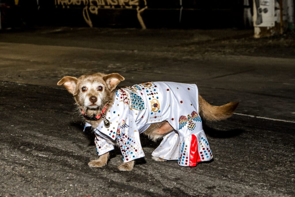 fun and playful session in downtown fremont street